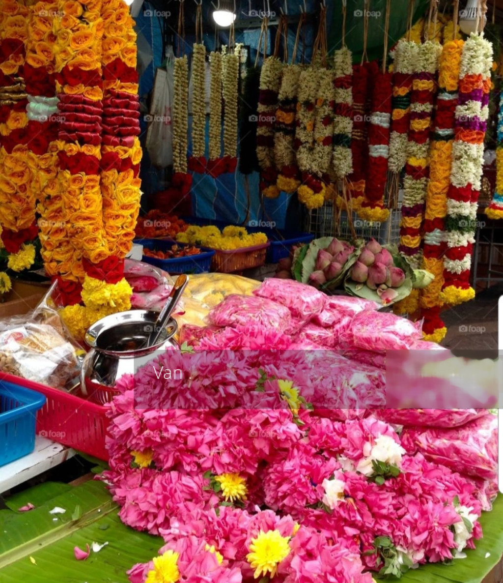 Syed Alwi Road (D8), Shop House #228663101